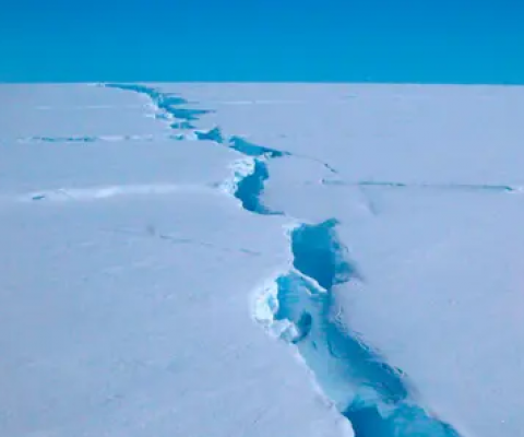 Climate change and the threat of industrial fishing are pressuring Antarctic marine life. Photograph: Richard Coleman/AFP/Getty Images