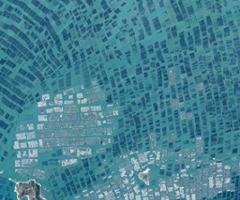 Aerial photo of aquaculture in Luoyuan Bay, China. Credit: Created by Overview, source imagery by Maxar Technologies