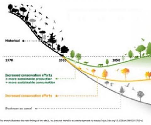 his artwork illustrates the main findings of the article, but does not intend to accurately represent its results. Credit - IIASA