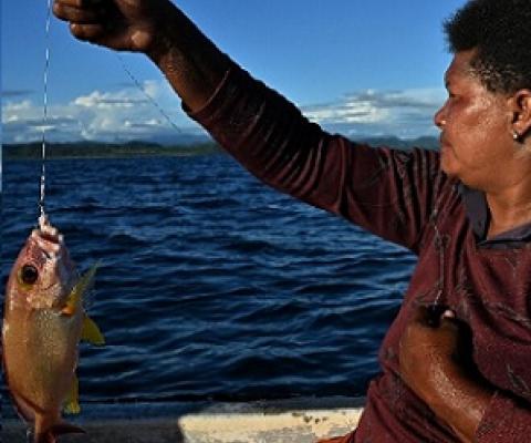 Warmer seas are disrupting coastal ecosystems, while stocks of valuable species have been plundered by foreign vessels. Credit - Steven Trask