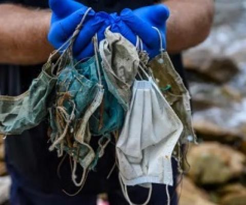  'Covid waste': disposable masks and latex gloves turn up on seabed. credit