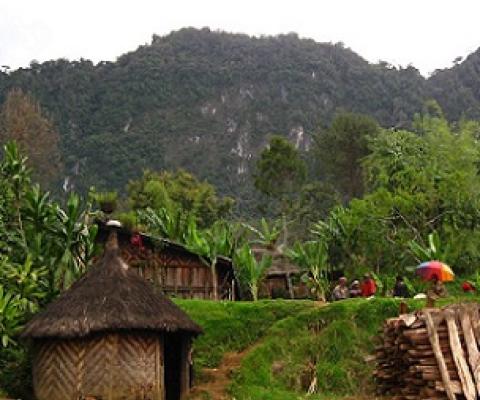 Chimbu Province, Papua New Guinea. Credit - David Bacon, Creative Commons (CC BY 2.0)