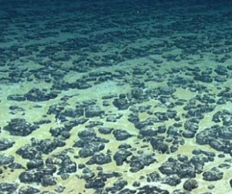Credit: National Oceanographic and Atmospheric Administration