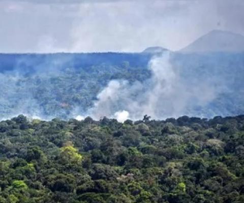 Smoke from a fire in the Amazon rainforest in Oiapoque, Amapa state. Photograph: Nelson Almeida/AFP/Getty Images