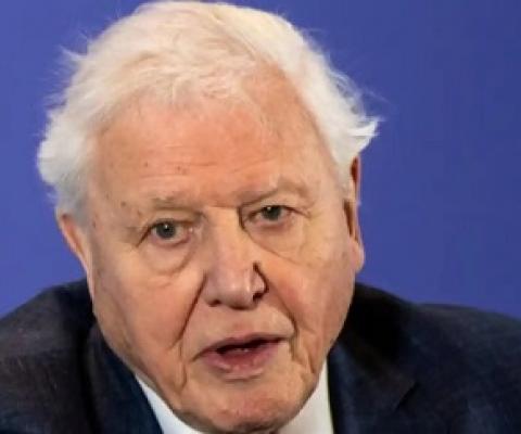 David Attenborough spoke to the Big Issue in early March, before the UK went into lockdown. Photograph: Reuters