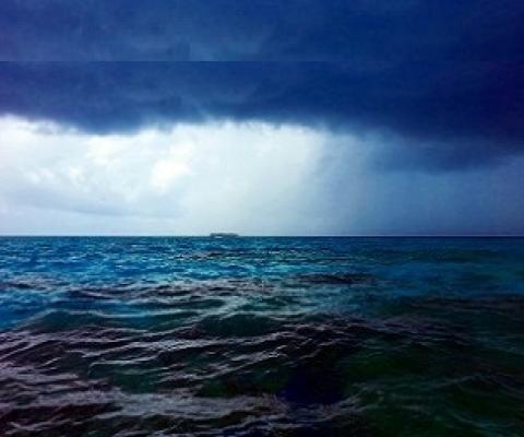 Funafuti Conservation Area, Tuvalu. Credit - V. Jungblut