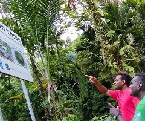 Credit- UNDP Solomon Islands