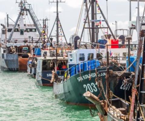 New Zealand introduces plan to put camera aboard all its fishing vessels. Source - https://www.seafoodsource.com/