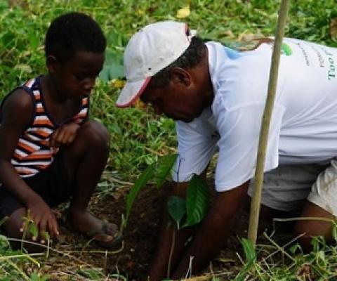 Vanuatu has been commemorating National Forestry and Tree Planting Week since 2016. Credit - MALFFB