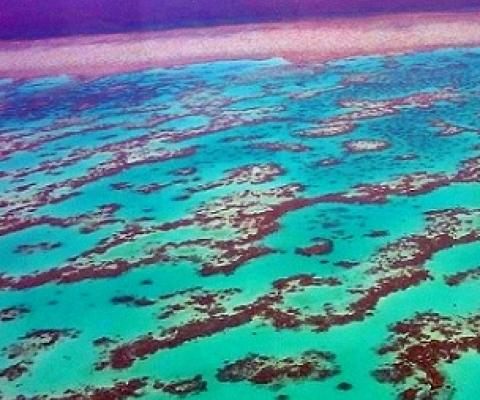 Great Barrier Reef, Australia. Credit - CC BY SA-3.0