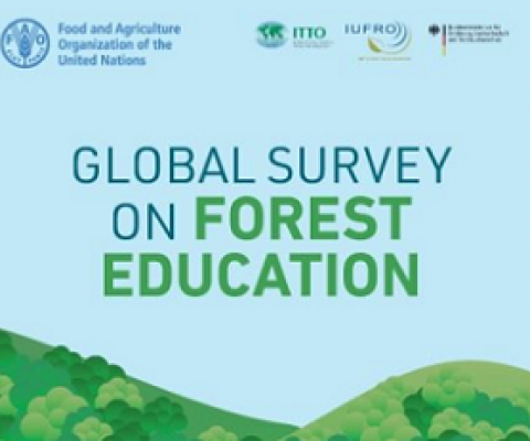 Global Survey on Forest Education. Credit - FAO
