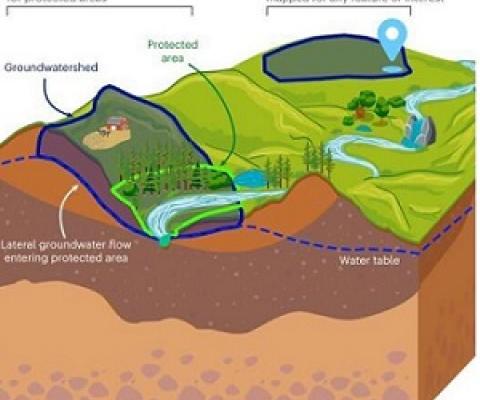 Overview of groundwatersheds and our application of groundwatersheds in this study. Credit: Nature Sustainability (2023). DOI: 10.1038/s41893-023-01086-9