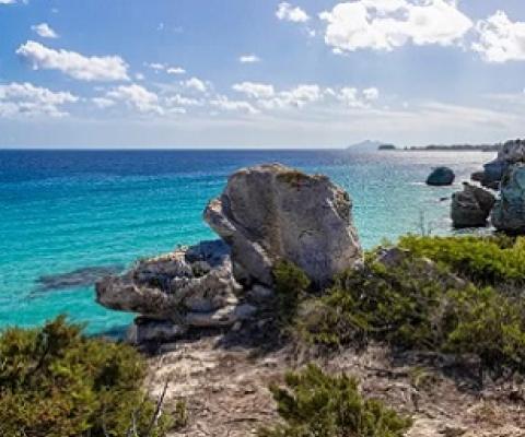 Arcipelago Toscano national park is one of two new Italian green-list sites. Its seven Mediterranean islands are rich with endemic flowers. Photograph: Archivio Parco Nazionale Arcipelago Toscano/IUCN