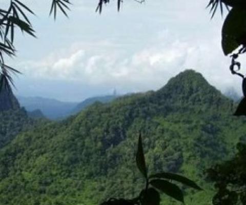 protected landscapes
