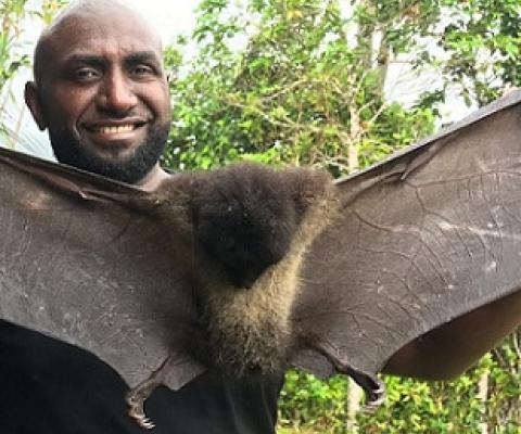 Junior Novera, a conservation scientist, is working with his community in Papua New Guinea to protect imperiled Bougainville monkey-faced bats and other local species. Photo courtesy of Salit Kark