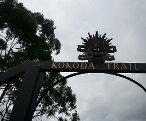Kokoda trail, Papua New Guinea. Credit - V. Jungblut