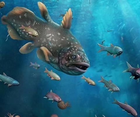 The Guiyang biota from China reveals a complex marine ecosystem that lived 250 million years ago (artist’s impression).Credit: Dinghua Yang, Haijun Song