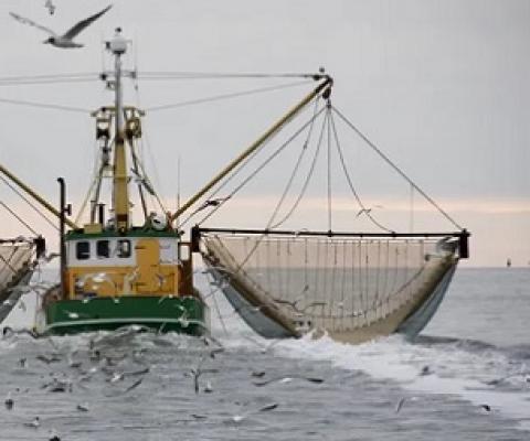 Through disturbing the sediment on the sea floor - the world's largest carbon sink - bottom trawling is thought to release a similar amount of carbon dioxide into the atmosphere as the aviation industryg. Credit - https://thefishsite.com/