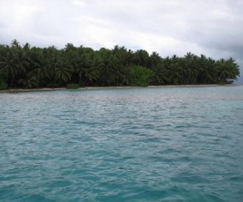 Madmad Island, Namorik. Marshall Islands