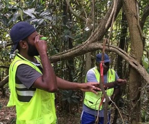 Upon completion of the inventory, the DoF will submit Vanuatu’s Forest Reference Level (FRL) to UNFCCC for technical review later this year. Photo: Vanuatu DoF