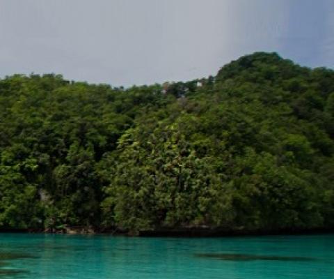 Ngeanges Island, Palau.  Credit - www.islandconservation.org