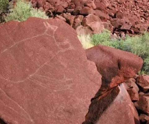 Rock engravings at Burrup Peninsula in Western Australia part part of the Murujuga cultural landscape and the country’s largest collection of rock art. Photograph: Ken Mulvaney