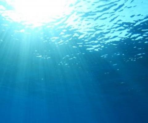 oceans