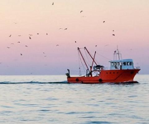 Can countries end overfishing and plastic pollution in just 10 years? - Credit: Artem Mishukov/Shutterstock