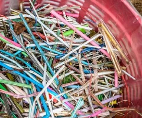  Plastic straws get stuck in the airways of marine life and cause painful internal injuries. Queensland will move to ban them along with plastic cutlery, stirrers and plates. Photograph: Mladen Antonov/AFP/Getty Images