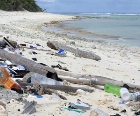 Plastic pollution is washed on to beaches during storms. Credit - Getty Images