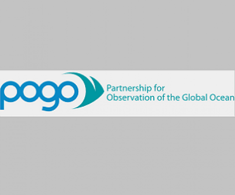 POGO logo. Credit - https://pogo-ocean.org/