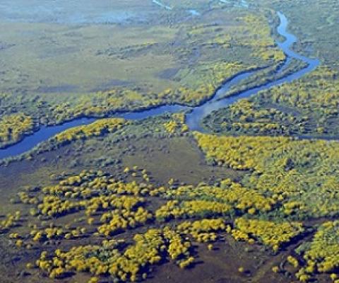 Pantanal Conservation Area, Brazil. Credit - Jose Sabino/Pixabay