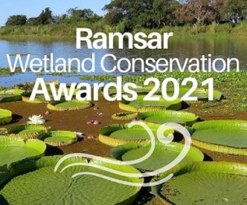 Ramsar Wetland Conservation Awards, 2021. credit. www.ramsar.org
