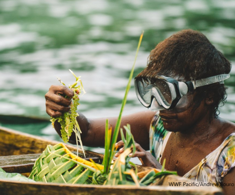 Sea grapes