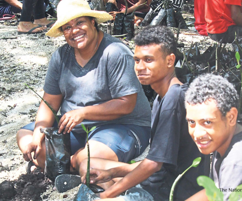 Mangrove restoration