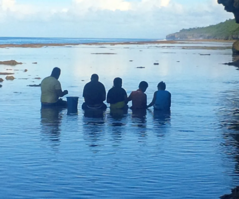 Niue Ocean Wide Trust