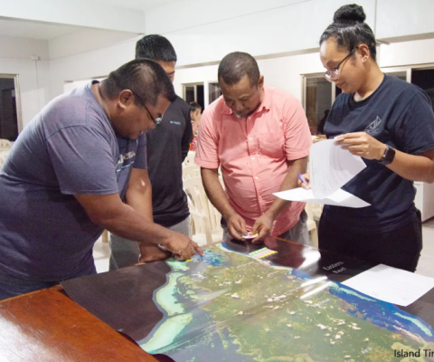 Palau, coral restoration