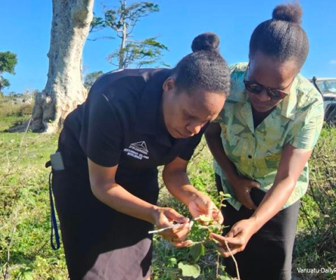 Vanuatu, invasive species