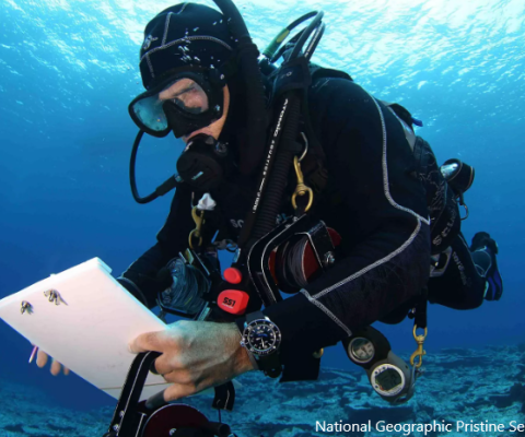 PNG, Pristine Seas