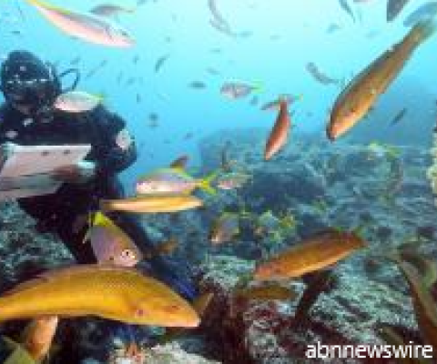 PNG Coral reef