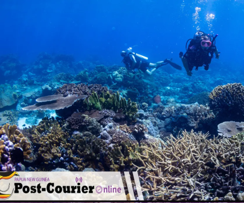 PNG Coral Reefs