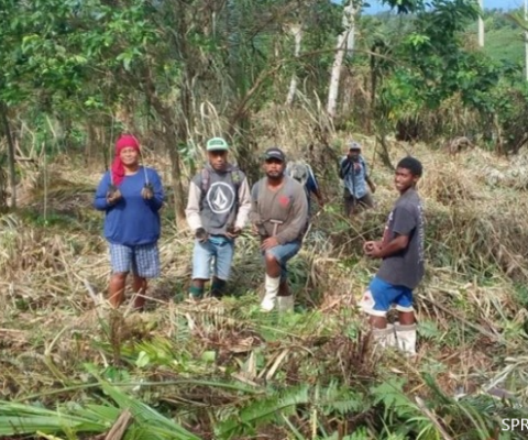 Taveuni