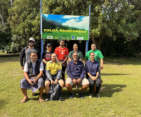 Tonga, invasive species survey, GIS