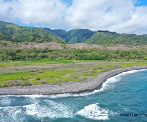 Hawaii, restoration