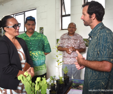 Cook Islands, ecological restoration