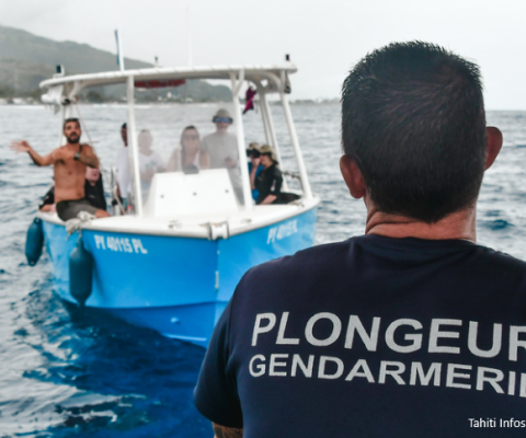 Tahiti, whale watching