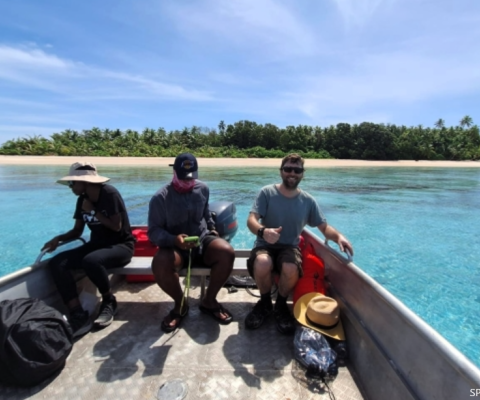 Tuvalu, invasive species