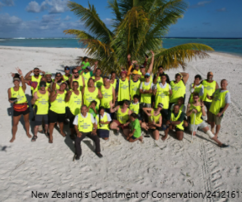 Palmerston atoll, Rat eradication