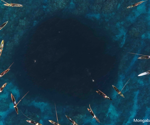 Solomons and Vanuatu