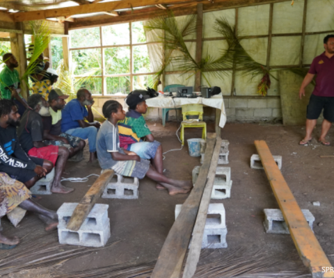 Nusumetu Community Conservation Site, Tanna Island, Vanuatu